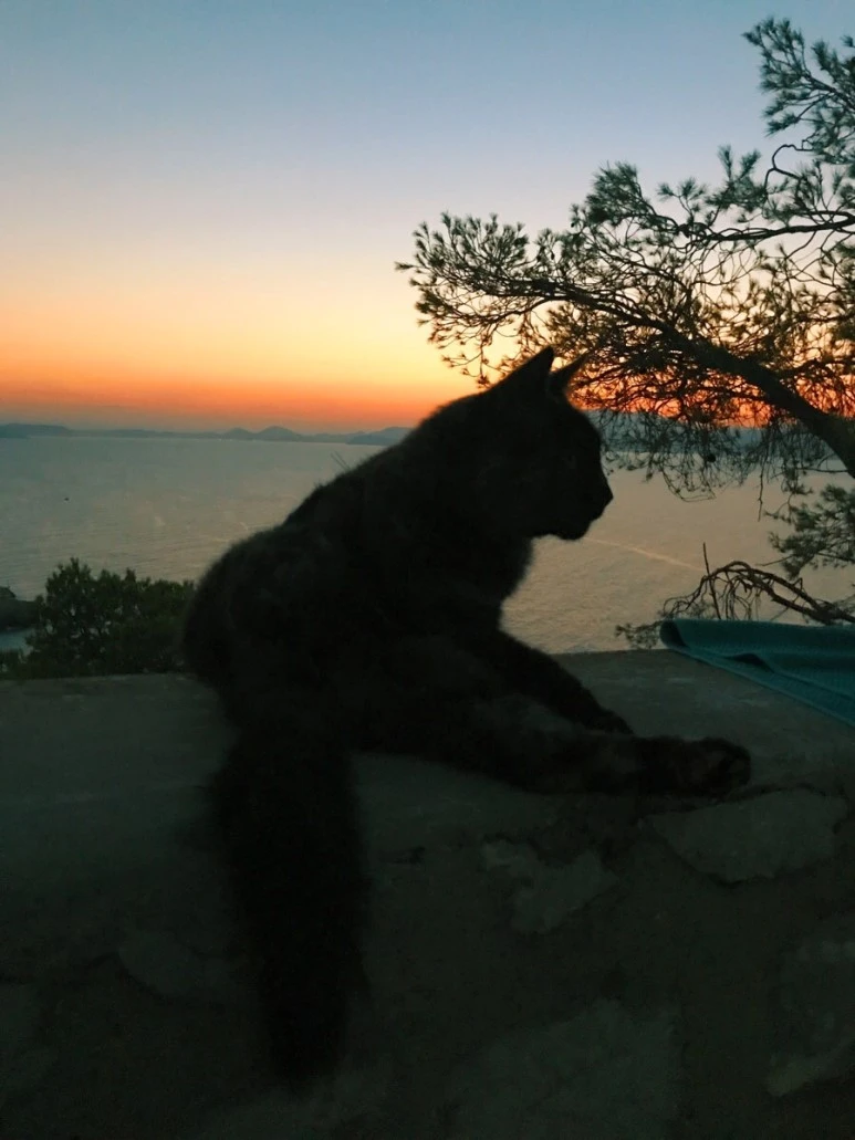 4DA0D296-18FA-445D-B814-E5D7BB6AFD51.jpg?type=w773