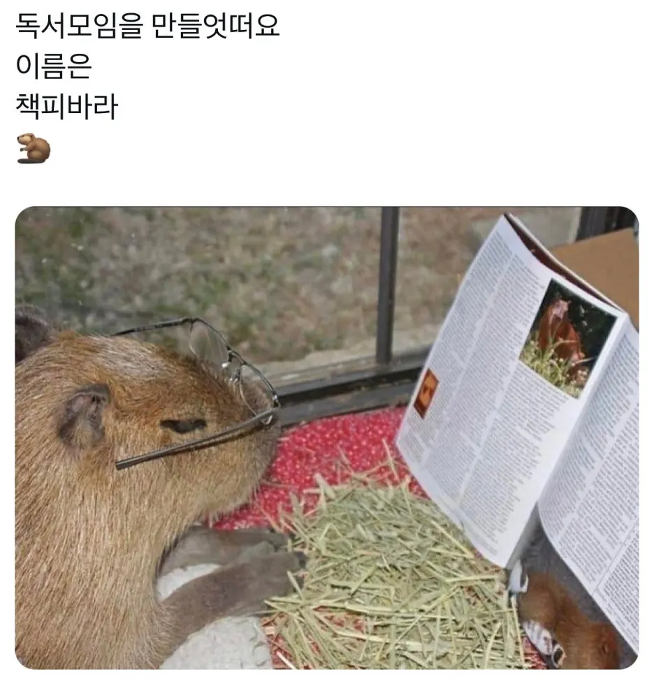 %EB%8F%85%EC%84%9C%EB%AA%A8%EC%9E%84.jpg?type=w1