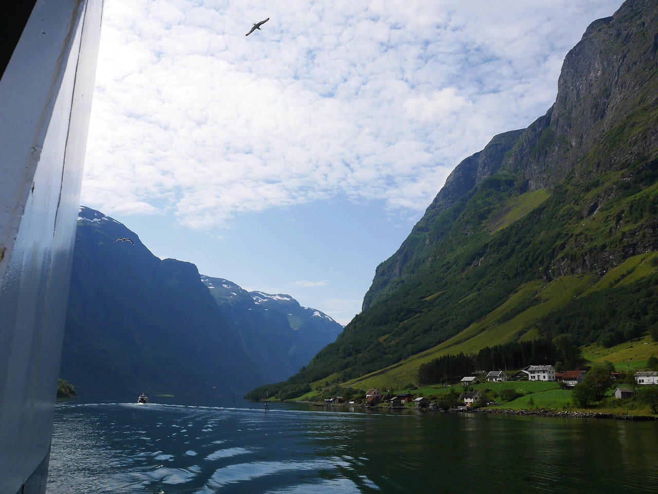 33-2. 플롬으로 가는 페리에서 바라본 피오르.JPG