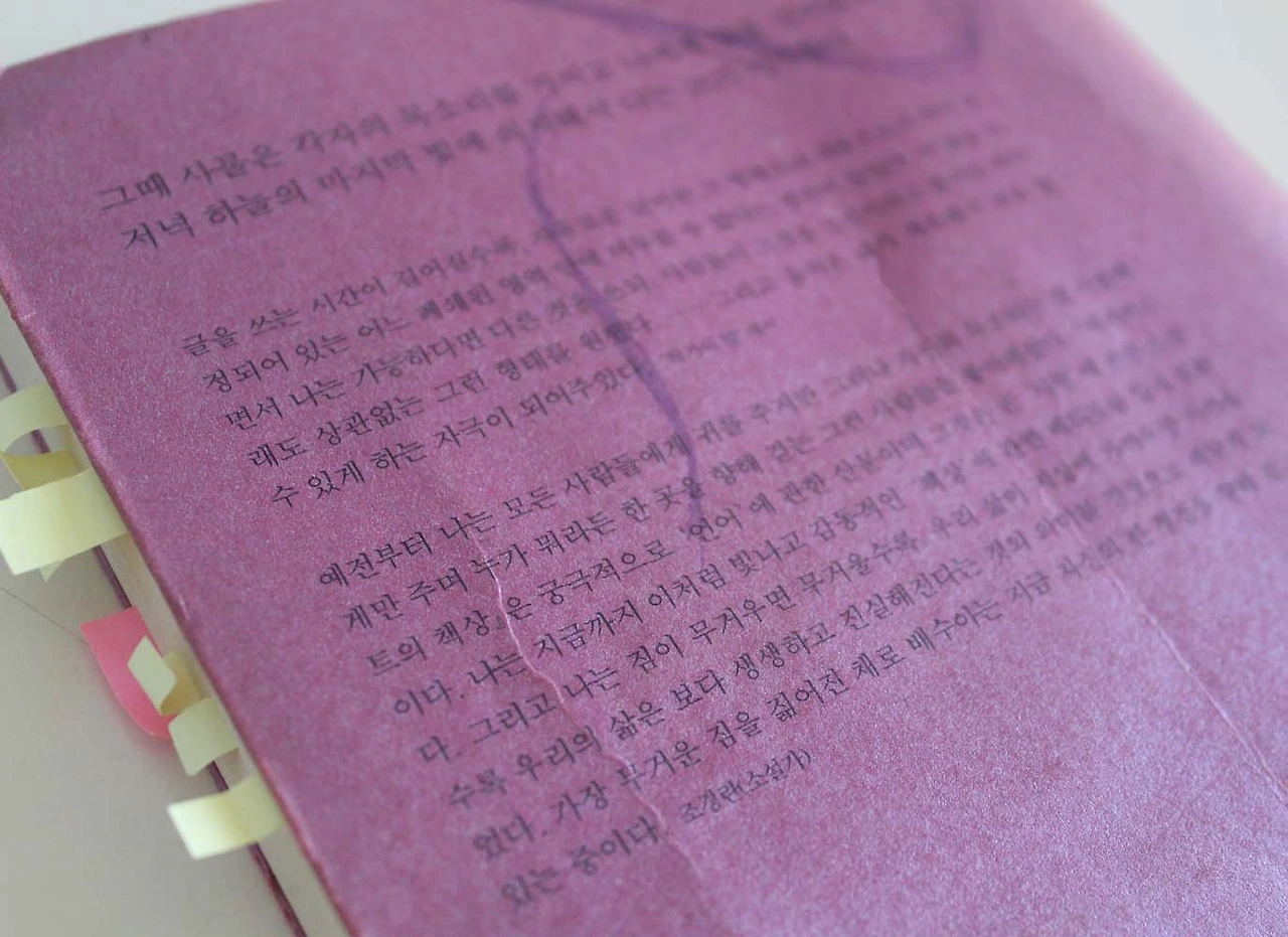 에세이스트의책상 배수아소설 소설리뷰 책리뷰1.JPG