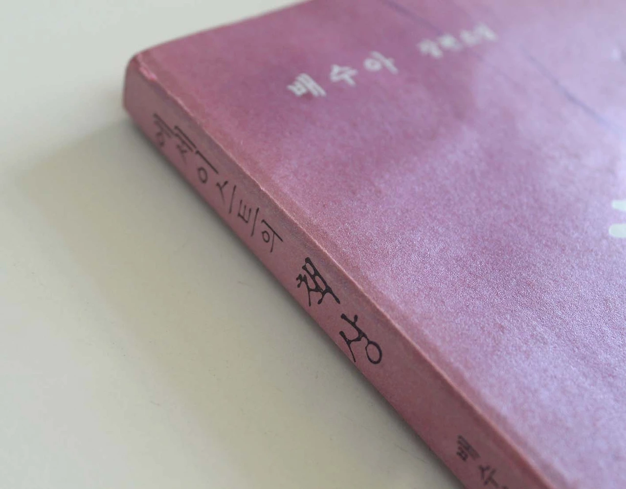 에세이스트의책상 배수아소설 소설리뷰 책리뷰.JPG