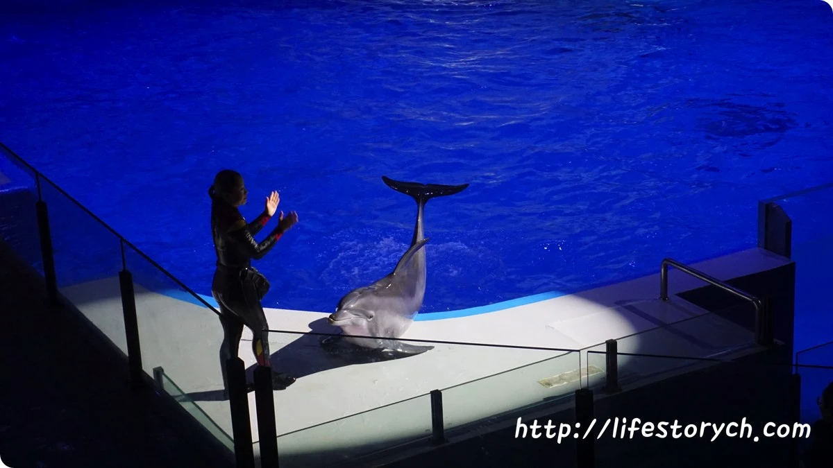 DSC07086.jpg?zoom=2&amp;resize=846%2C476