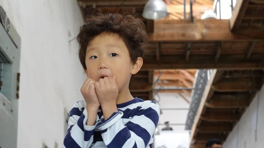 DSC01267.jpg?fit=846%2C476