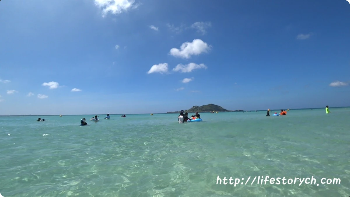 C0146.MP4-00.00.01.451_01.jpg?zoom=2&amp;resize=846%2C476