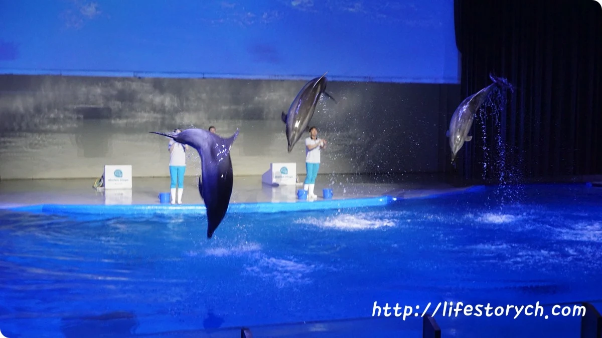 DSC07073.jpg?zoom=2&amp;resize=846%2C476