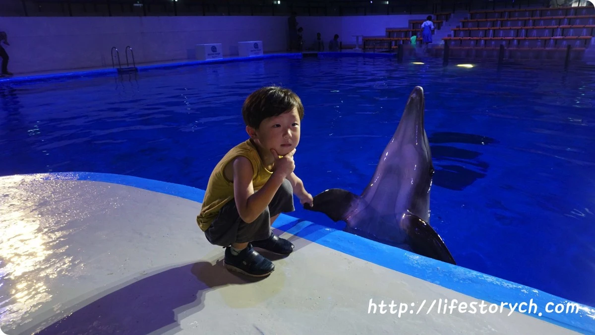 DSC07095.jpg?zoom=2&amp;resize=846%2C476