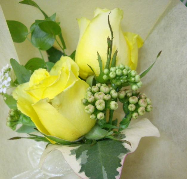 125FE04D512D326104E7CC