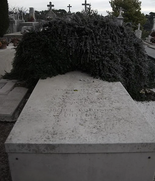 183105034B741A2DA72755