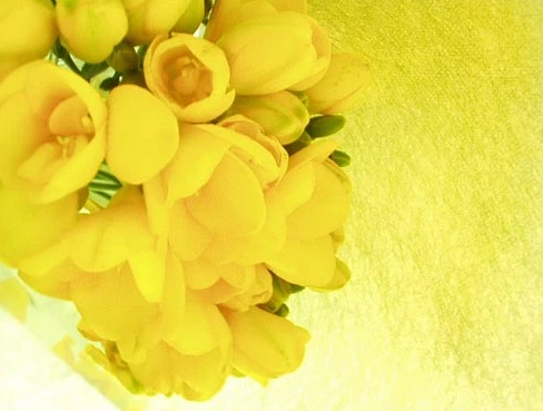 0338C84A512D31240AB006