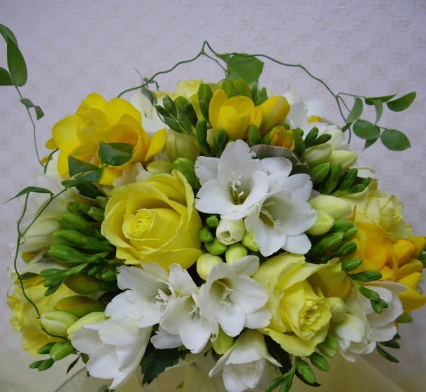 1138D74B512D31E50A38E4