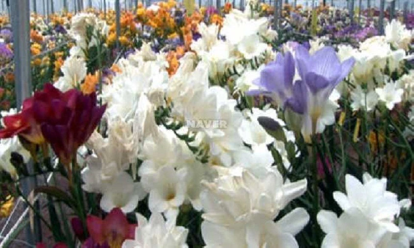 235E1B4D512D313C04A85A