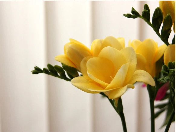 154BC84E512D319004E2EE