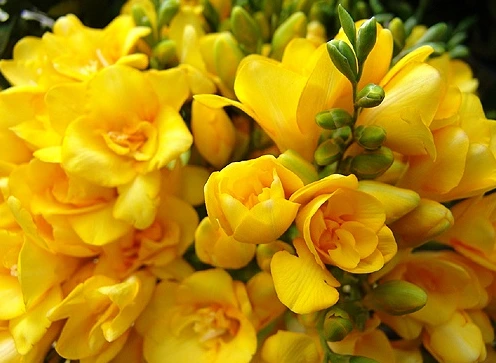 15700748512D31A40D1A8A