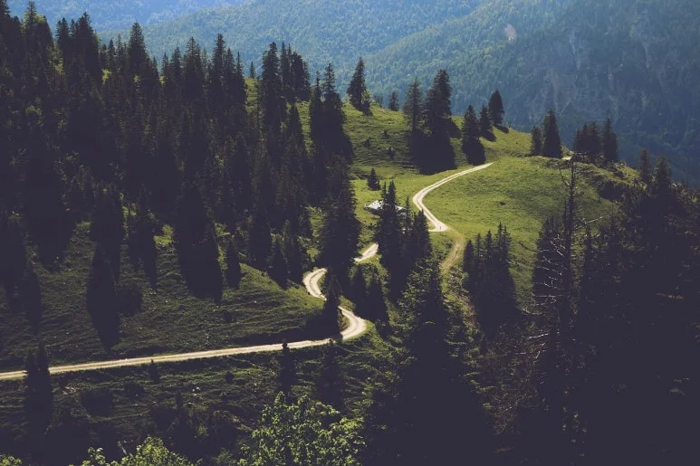 path-2413449_1280.jpg?type=w773