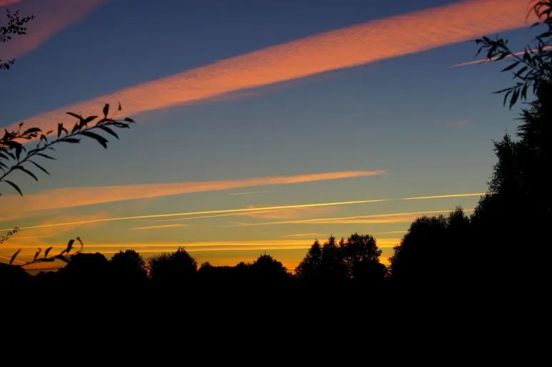 1514901.jpg?type=w773