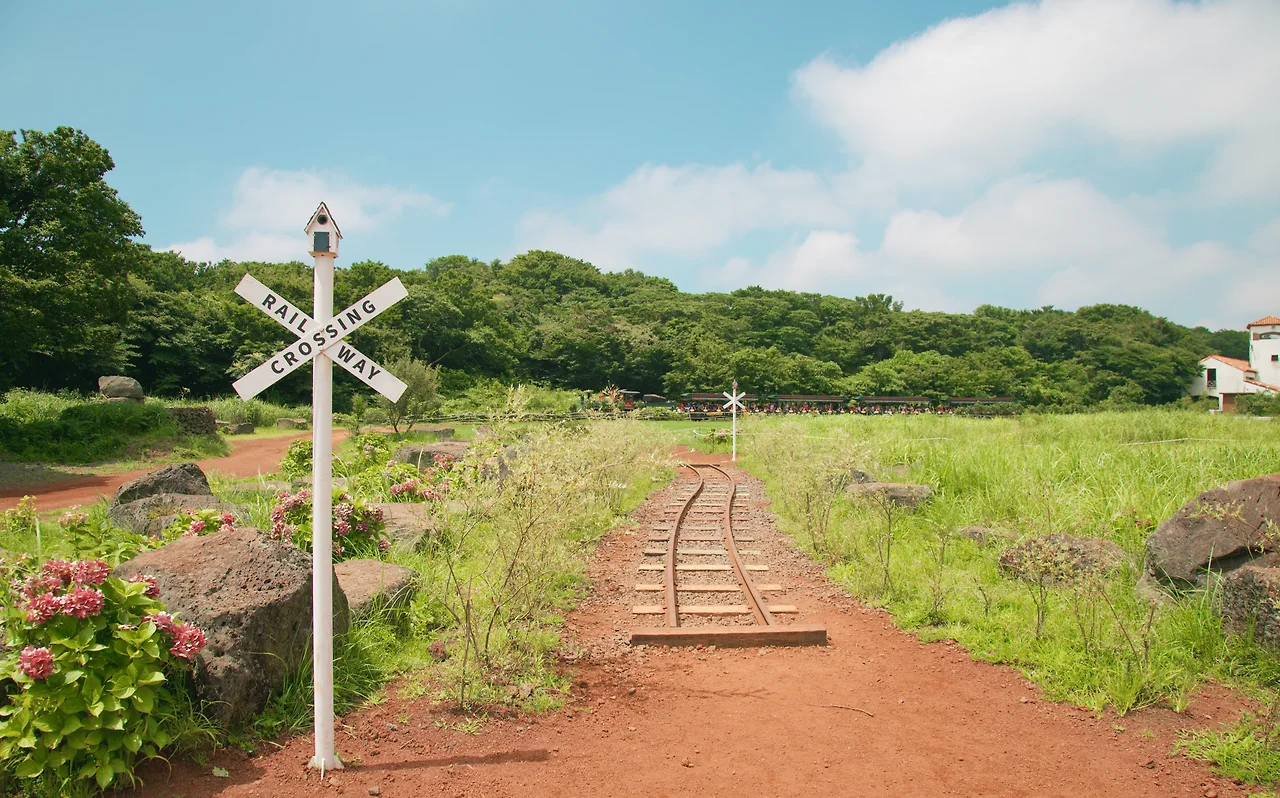 photo-1565443392515-d34457b6601a?ixlib=rb-1.2.1&amp;ixid=MXwxMjA3fDB8MHxwaG90by1wYWdlfHx8fGVufDB8fHw%3D&amp;auto=format&amp;fit=crop&amp;w=1000&amp;q=80