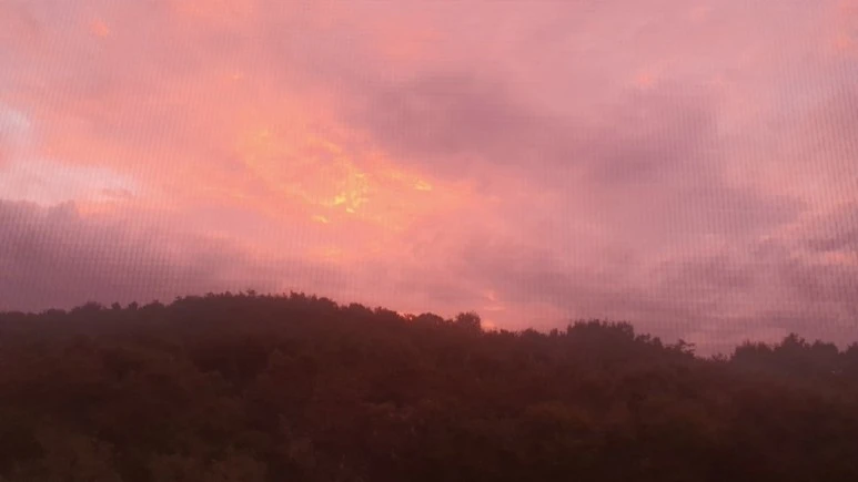 20220916%EF%BC%BF060624.jpg?type=w773