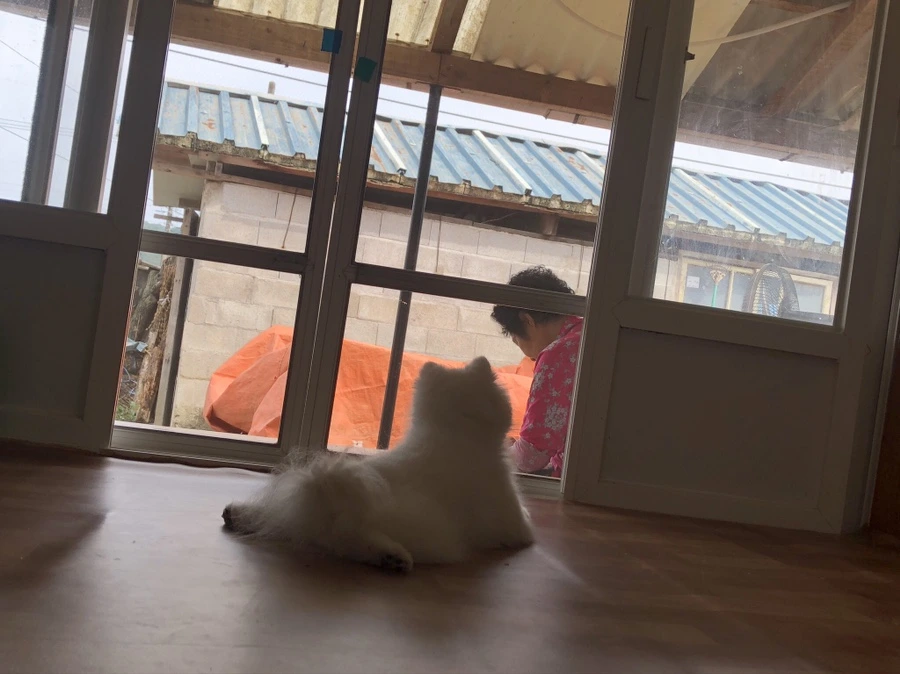 IMG_2677.jpg?type=w1