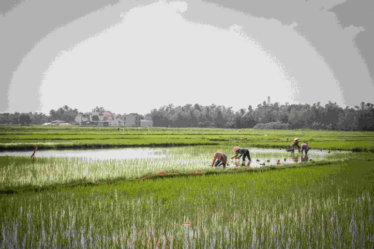 040618-2.jpg?type=w773