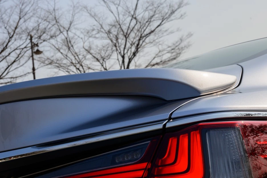 8DSC_8780.jpg?type=w1