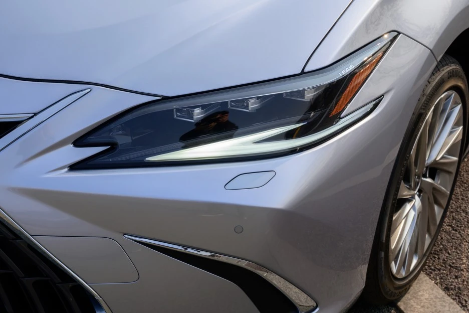 4DSC_8761.jpg?type=w1