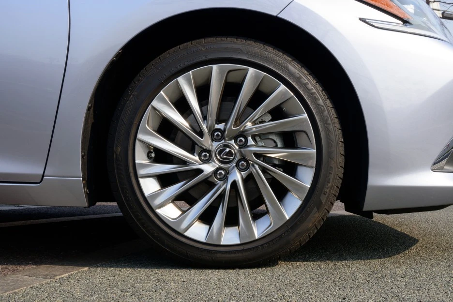 11DSC_8782.jpg?type=w1