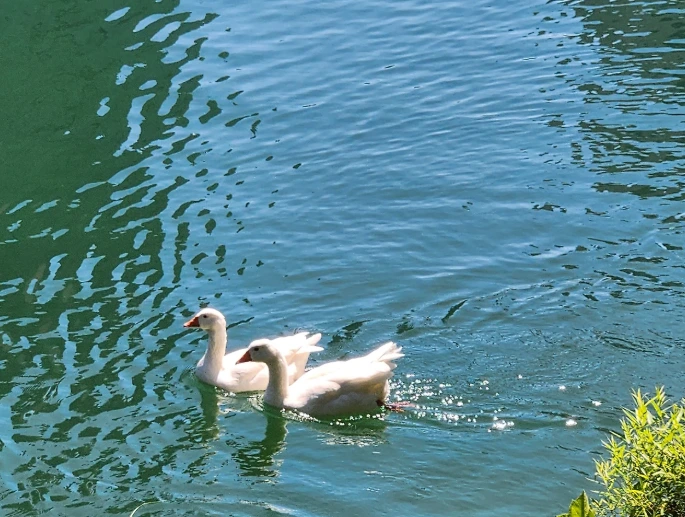 2025-11-17 18;21;59.PNG