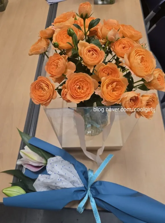 900%EF%BC%BF1752634210661.jpg?type=w580