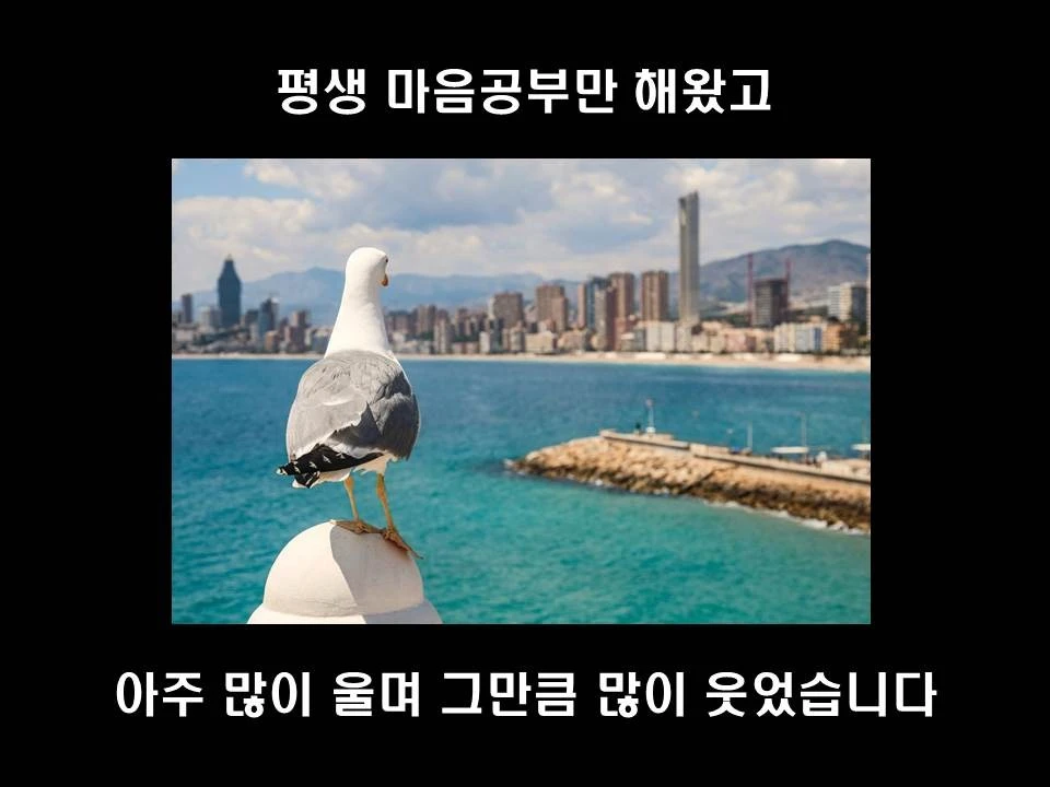 %EC%8A%AC%EB%9D%BC%EC%9D%B4%EB%93%9C4.JPG?type=w1600