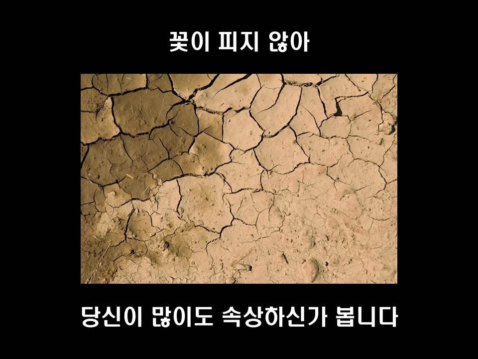 %EC%8A%AC%EB%9D%BC%EC%9D%B4%EB%93%9C11.JPG?type=w1600