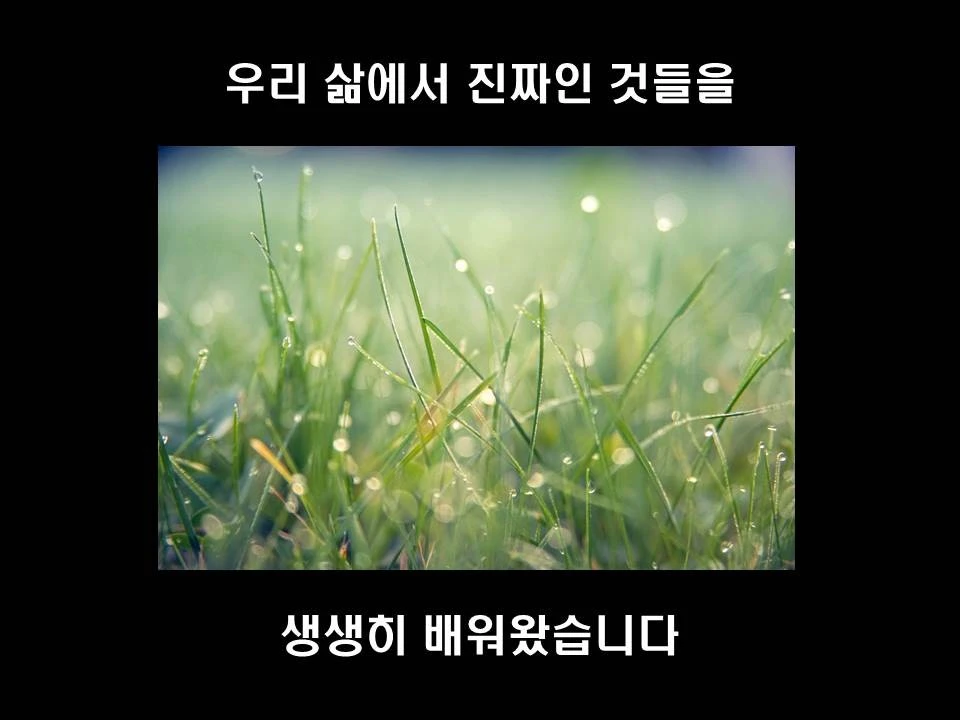 %EC%8A%AC%EB%9D%BC%EC%9D%B4%EB%93%9C5.JPG?type=w1600