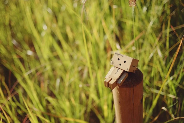 autumn-3770779_1920.jpg?type=w1600