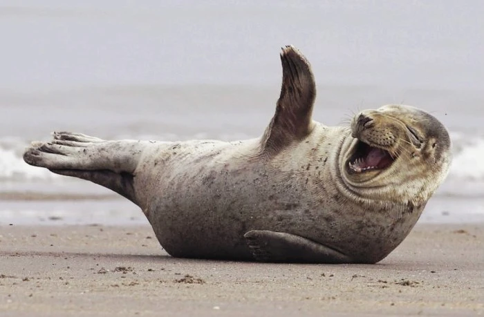 laugh.jpg?type=w1600