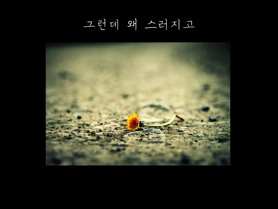 %EC%8A%AC%EB%9D%BC%EC%9D%B4%EB%93%9C14.JPG?type=w1600