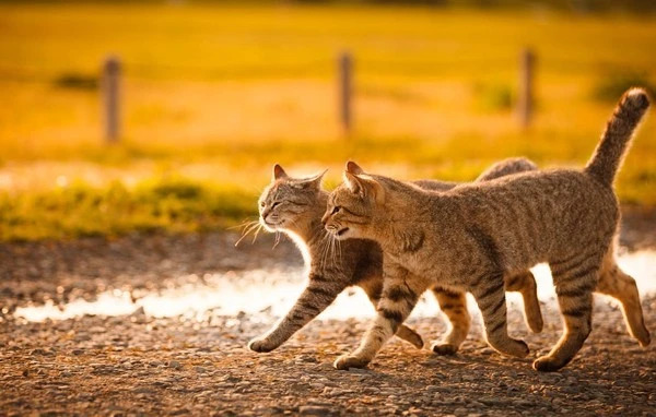 0104_%281%29.jpg?type=w1600