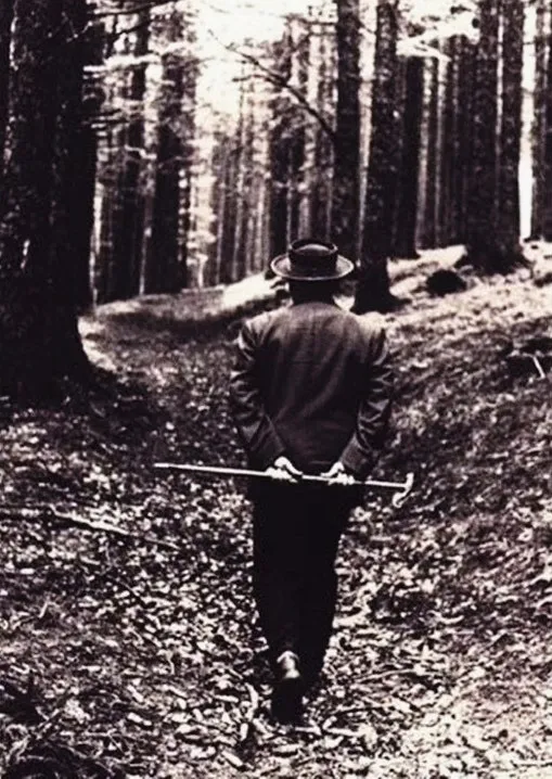 holzwege.jpg?type=w1600