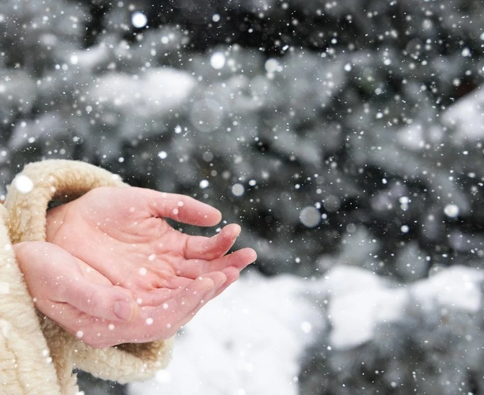 white.jpg?type=w1600