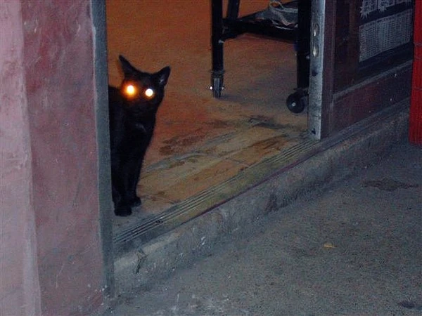 6448aae4a4bc304515441e9ac517bc5a.jpg?type=w1600