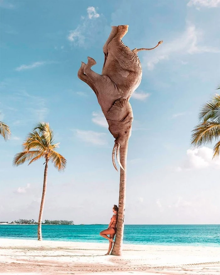 art-martijn-schrijver-20-805x1006.jpg?type=w1600