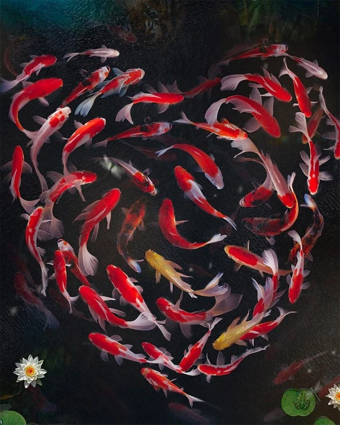 art-andreas-haggkvist-07-800x1000.jpg?type=w1600