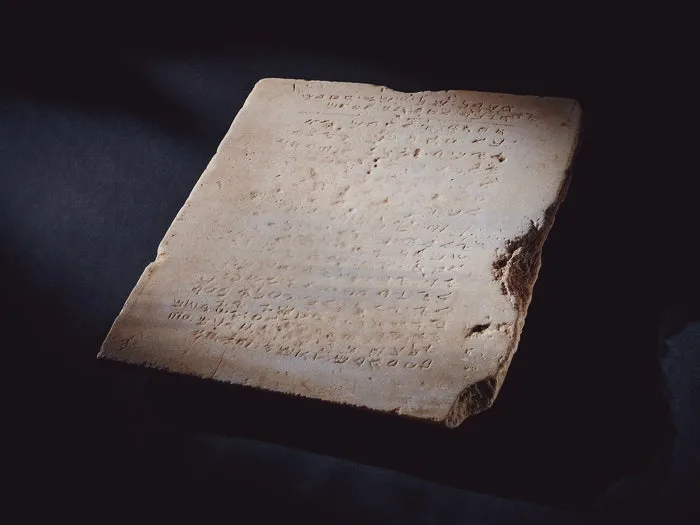 n11543-d44wd-t1-05.jpg?type=w1600