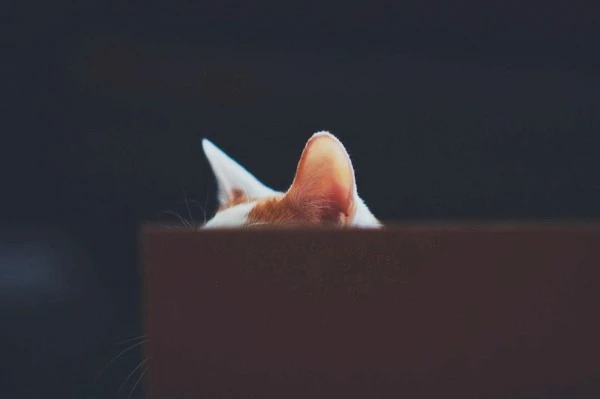 iStock-908122648.jpg?type=w1600