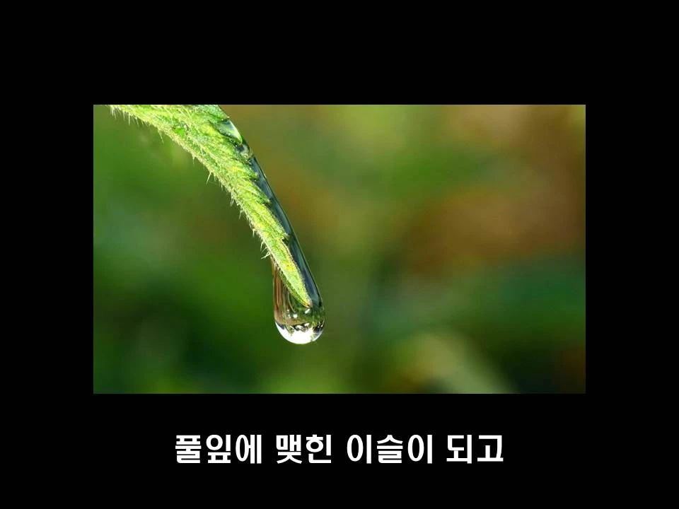 %EC%8A%AC%EB%9D%BC%EC%9D%B4%EB%93%9C4.JPG?type=w1600