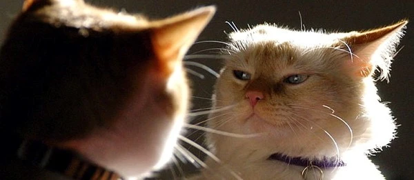 1_s1mb-1yVMMis95lvFsfP5Q.jpeg?type=w1600