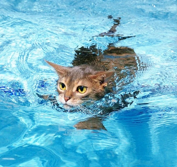 000111.jpg?type=w1600