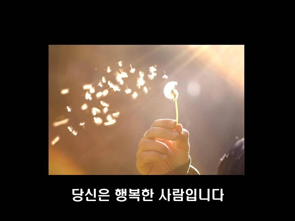 %EC%8A%AC%EB%9D%BC%EC%9D%B4%EB%93%9C48.JPG?type=w1600