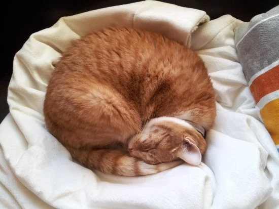 iX1a3qv.jpg?type=w740