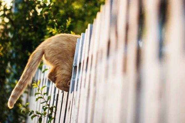 photo-1530153872981-9a7666670466.jpg?type=w1600