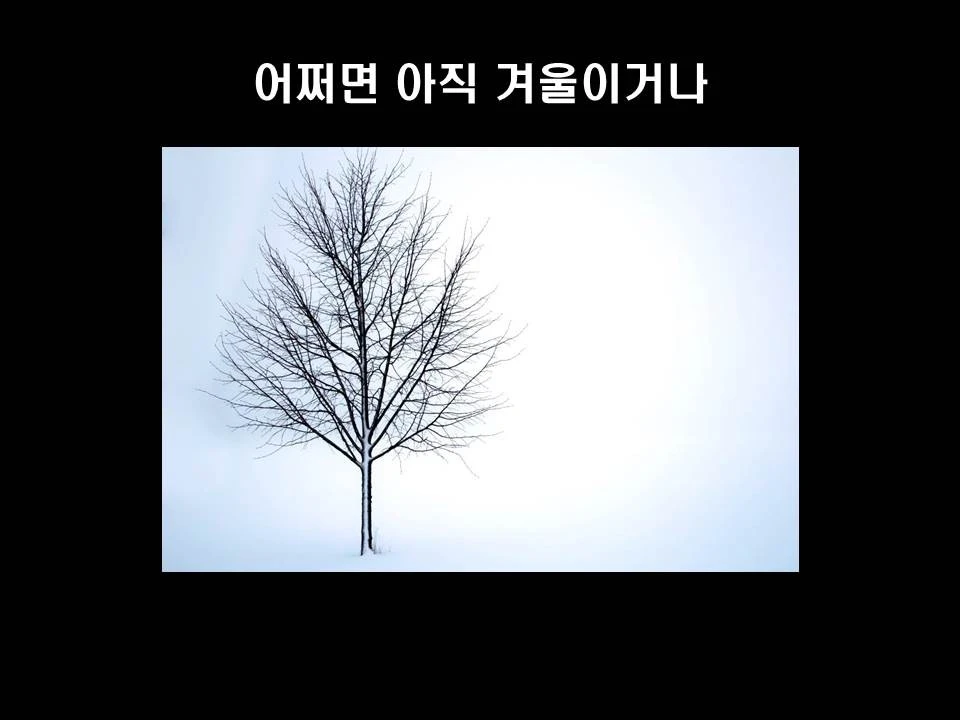 %EC%8A%AC%EB%9D%BC%EC%9D%B4%EB%93%9C12.JPG?type=w1600