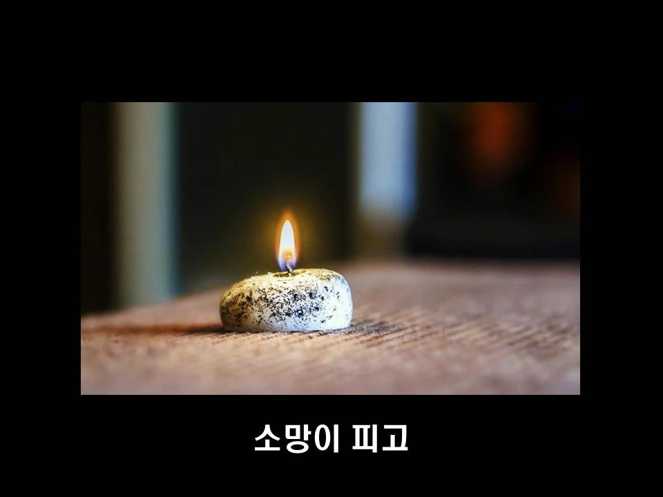 %EC%8A%AC%EB%9D%BC%EC%9D%B4%EB%93%9C7.JPG?type=w1600